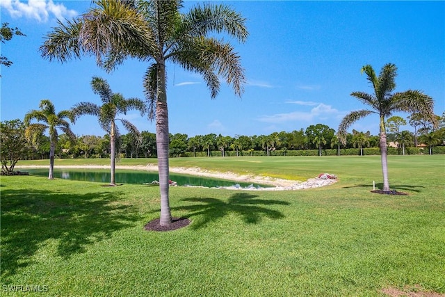 28908 Marsh Elder Ct, Bonita Springs, FL 34135 - view of home's community featuring a water view, a yard, and view of wooded area