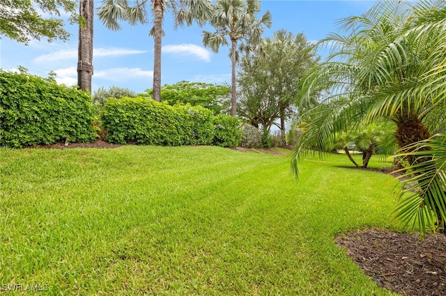 14687 Topsail Dr, Naples, FL 34114 - view of grassy yard