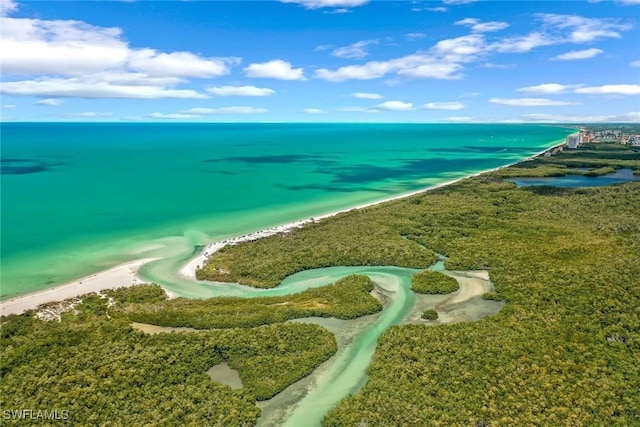 795 Bentwater Cir Unit 202, Naples, FL 34108 - drone / aerial view of waterfront with a beach