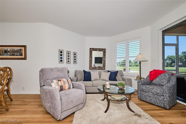 16410 Millstone Cir Unit 102, Fort Myers, FL 33908 - living room featuring light wood-style floors, plenty of natural light, and baseboards