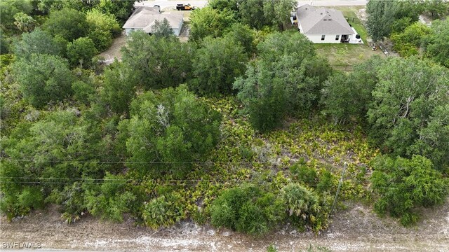 2504 65th St W, Lehigh Acres, FL 33971 - photo 1