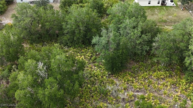2504 65th St W, Lehigh Acres, FL 33971 - photo 2