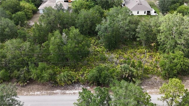 2504 65th St W, Lehigh Acres, FL 33971 - photo 3