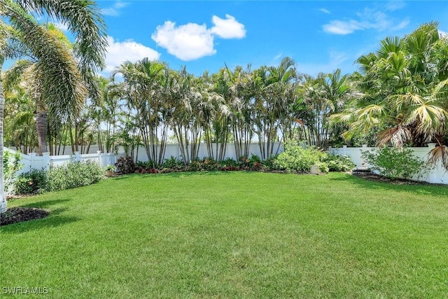 26304 Prince Pierre Way, Bonita Springs, FL 34135 - view of yard