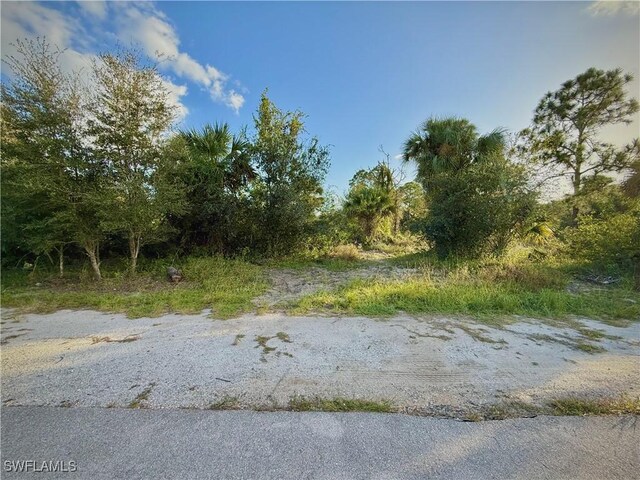 1214 Beaver St E, Lehigh Acres, FL 33974