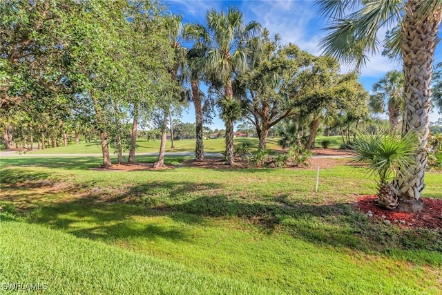 8515 Chase Preserve Dr, Naples, FL 34113 - view of green lawn