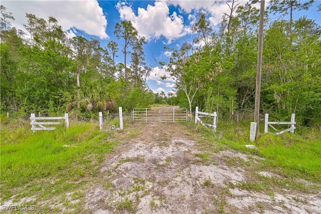 10061 Deal Rd, North Fort Myers, FL 33917 - photo 8