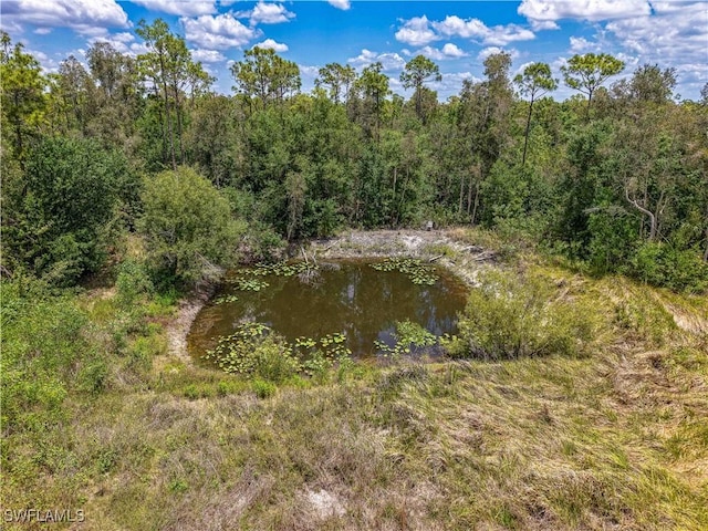 10061 Deal Rd, North Fort Myers, FL 33917 - photo 9