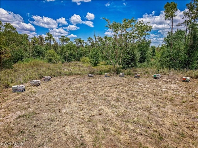 10061 Deal Rd, North Fort Myers, FL 33917 - photo 10