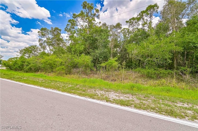 10061 Deal Rd, North Fort Myers, FL 33917 - photo 11
