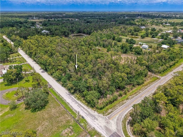 10061 Deal Rd, North Fort Myers, FL 33917 - photo 12