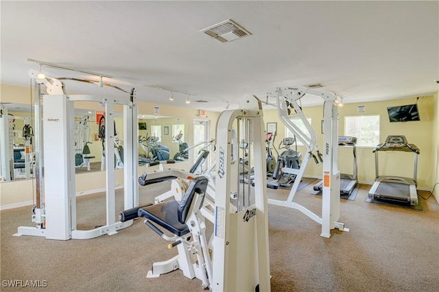 1769 Four Mile Cove Pkwy Unit 915, Cape Coral, FL 33990 - gym with carpet flooring and rail lighting