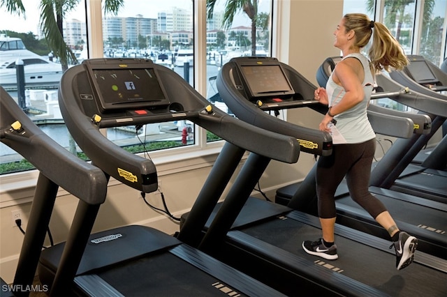 15055 Tamarind Cay Ct Unit 1205, Fort Myers, FL 33908 - exercise room featuring a view of city