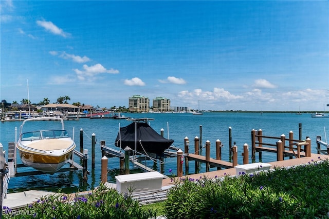 991 N Barfield Dr Unit 110, Marco Island, FL 34145 - dock area with boat lift and a water view