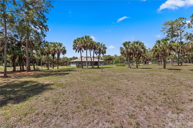 1187 16th Ave NE, Naples, FL 34120 - view of green lawn