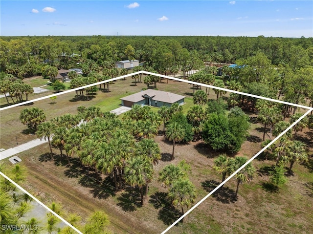 1187 16th Ave NE, Naples, FL 34120 - aerial view of property and surrounding area featuring property boundaries highlighted and a heavily wooded area