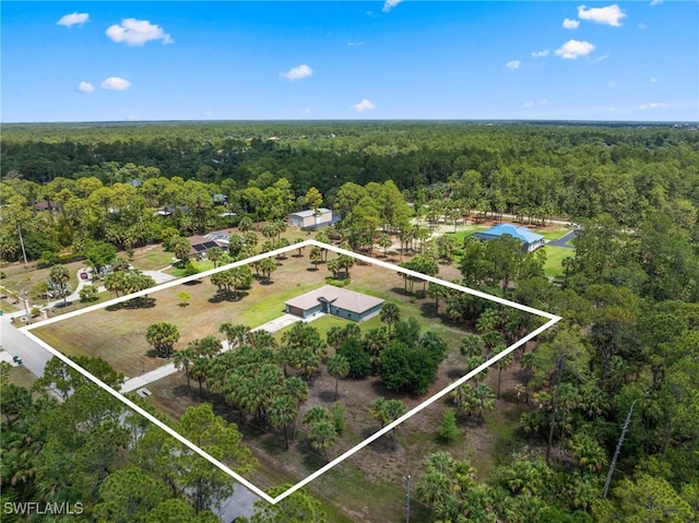 1187 16th Ave NE, Naples, FL 34120 - aerial view of property's location featuring a heavily wooded area and property parcel outlined