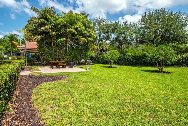 6900 Huntington Lakes Cir Unit 102, Naples, FL 34119 - view of yard featuring a patio area and view of scattered trees