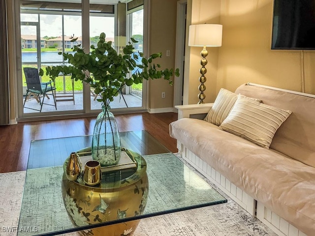 6900 Huntington Lakes Cir Unit 102, Naples, FL 34119 - living room featuring wood finished floors and baseboards