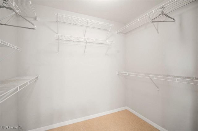23581 Sandycreek Ter Unit 1107, Estero, FL 34135 - walk in closet with carpet floors