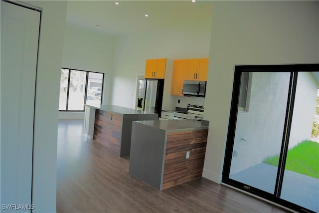 2815 45th St W, Lehigh Acres, FL 33971 - kitchen with appliances with stainless steel finishes, dark wood finished floors, a high ceiling, recessed lighting, and light brown cabinetry
