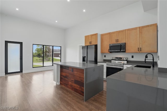 2815 45th St W, Lehigh Acres, FL 33971 - kitchen featuring appliances with stainless steel finishes, a sink, dark wood-type flooring, a kitchen island, and recessed lighting