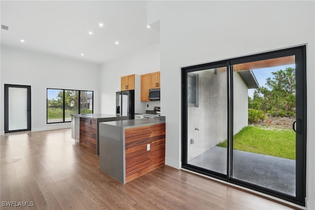 2815 45th St W, Lehigh Acres, FL 33971 - kitchen featuring appliances with stainless steel finishes, wood finished floors, recessed lighting, a peninsula, and a towering ceiling