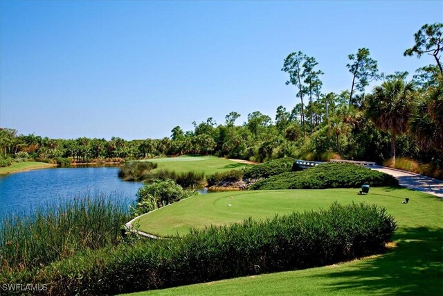 2366 Alexander Palm Dr, Naples, FL 34105 - view of home's community featuring a water view, a putting area, view of golf course, and a yard