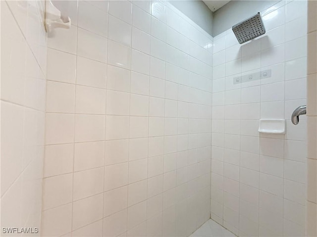 10350 Washingtonia Palm Way Unit 4213, Fort Myers, FL 33966 - bathroom with a tile shower