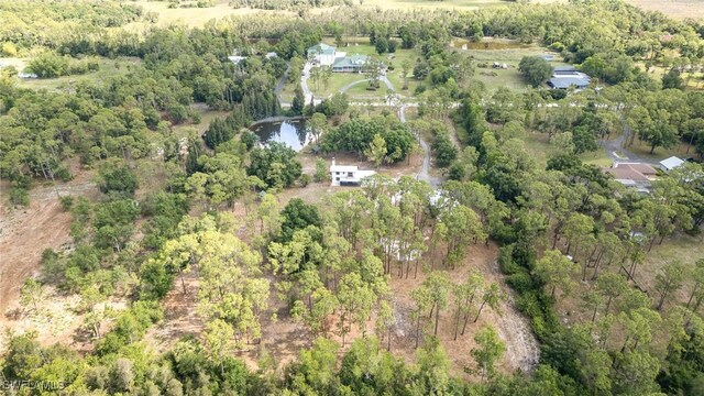 11590 Fox Hill Rd, North Fort Myers, FL 33917 - photo 42