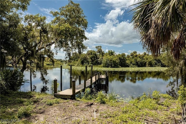 16520 Oakview Cir, Alva, FL 33920 - photo 4