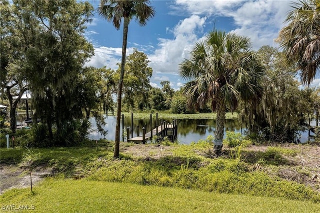 16520 Oakview Cir, Alva, FL 33920 - photo 10