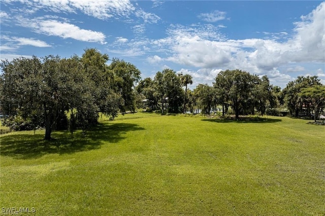 16520 Oakview Cir, Alva, FL 33920 - photo 11