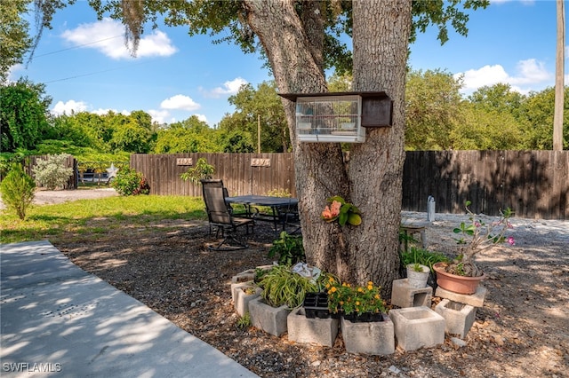 2313 Hines Ave, Alva, FL 33920 - view of yard