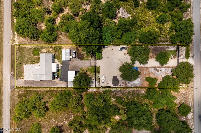 2313 Hines Ave, Alva, FL 33920 - aerial view