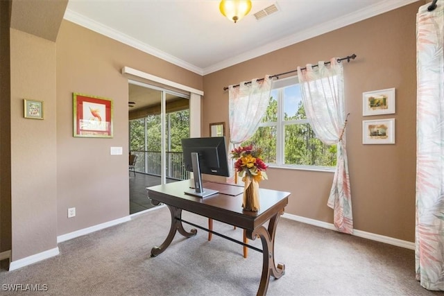 21726 Baccarat Ln Unit 201, Estero, FL 33928 - office featuring plenty of natural light, baseboards, crown molding, and carpet flooring