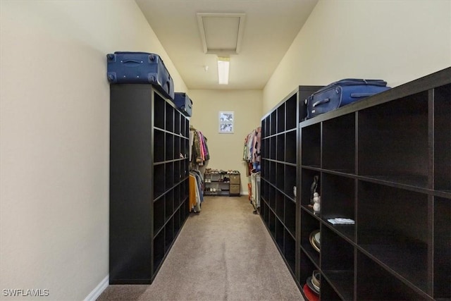 21726 Baccarat Ln Unit 201, Estero, FL 33928 - storage area with attic access