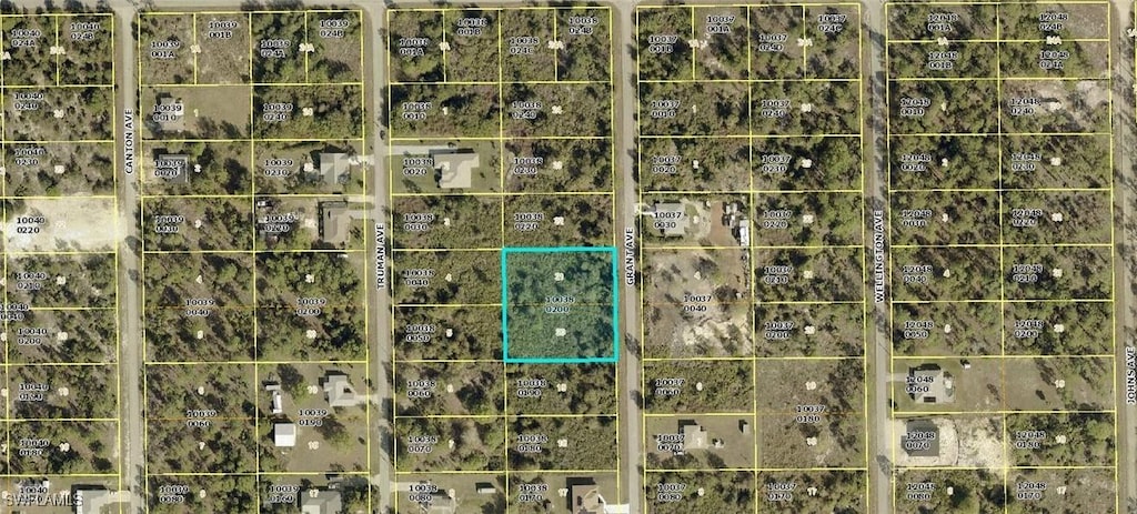 1115 Grant Ave, Lehigh Acres, FL 33972