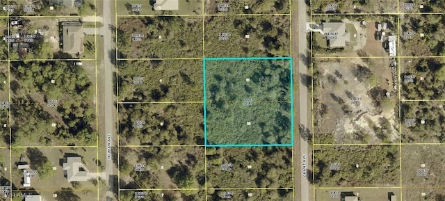 1115 Grant Ave, Lehigh Acres, FL 33972