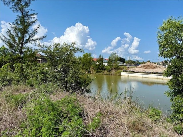 1118 SW 19th Ave, Cape Coral, FL 33991