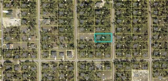 1305 Wells Ave, Lehigh Acres, FL 33972
