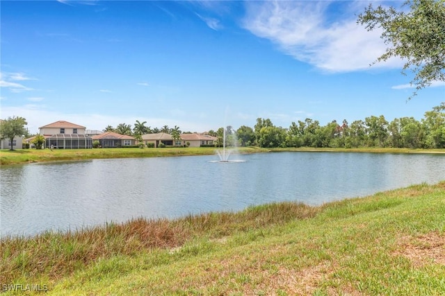 3032 Lake Manatee Ct, Cape Coral, FL 33909 - water view