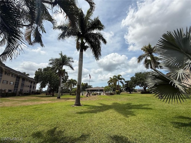 5499 Rattlesnake Hammock Rd Unit A 103, Naples, FL 34113 - view of home's community featuring a lawn