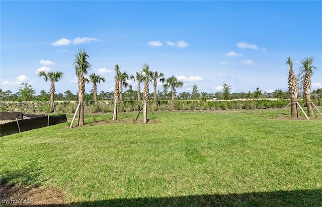 44225 Kelly Dr, Punta Gorda, FL 33982 - view of grassy yard