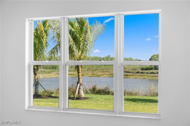 12467 Purple Ficus Way, Naples, FL 34120 - water view