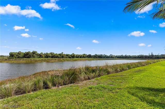 12467 Purple Ficus Way, Naples, FL 34120 - water view