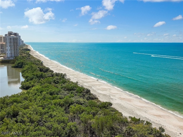 707 Buttonbush Ln, Naples, FL 34108 - water view featuring nearby beach