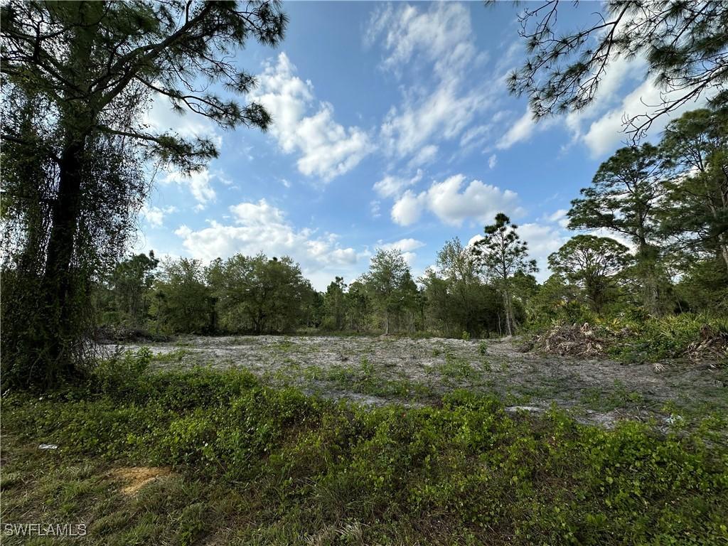 1223 Randletree St E, Lehigh Acres, FL 33974
