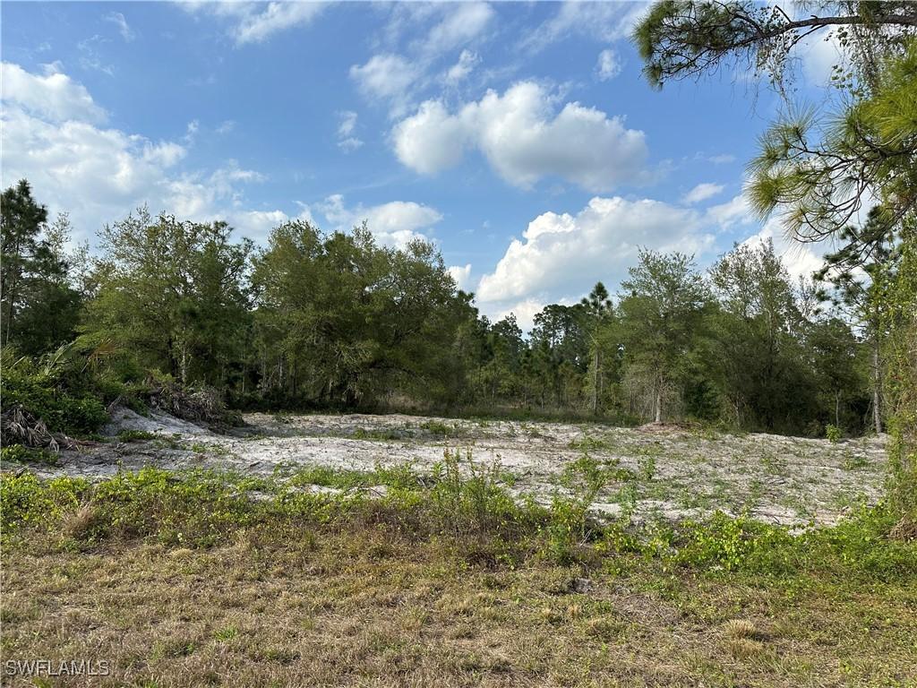 1223 Randletree St E, Lehigh Acres, FL 33974