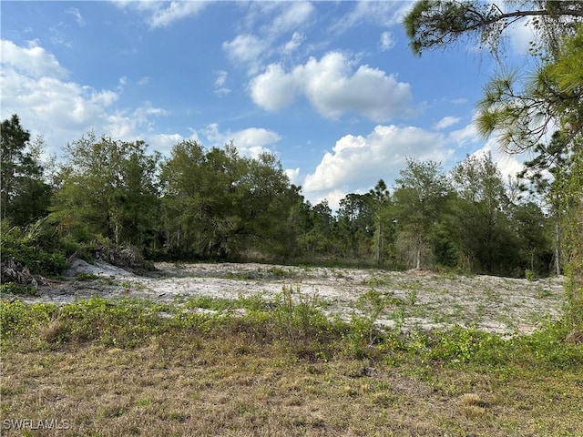 1223 Randletree St E, Lehigh Acres, FL 33974